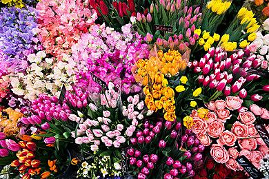 《任天堂NS运动》发布足球模式宣传片 看比赛也要动起来